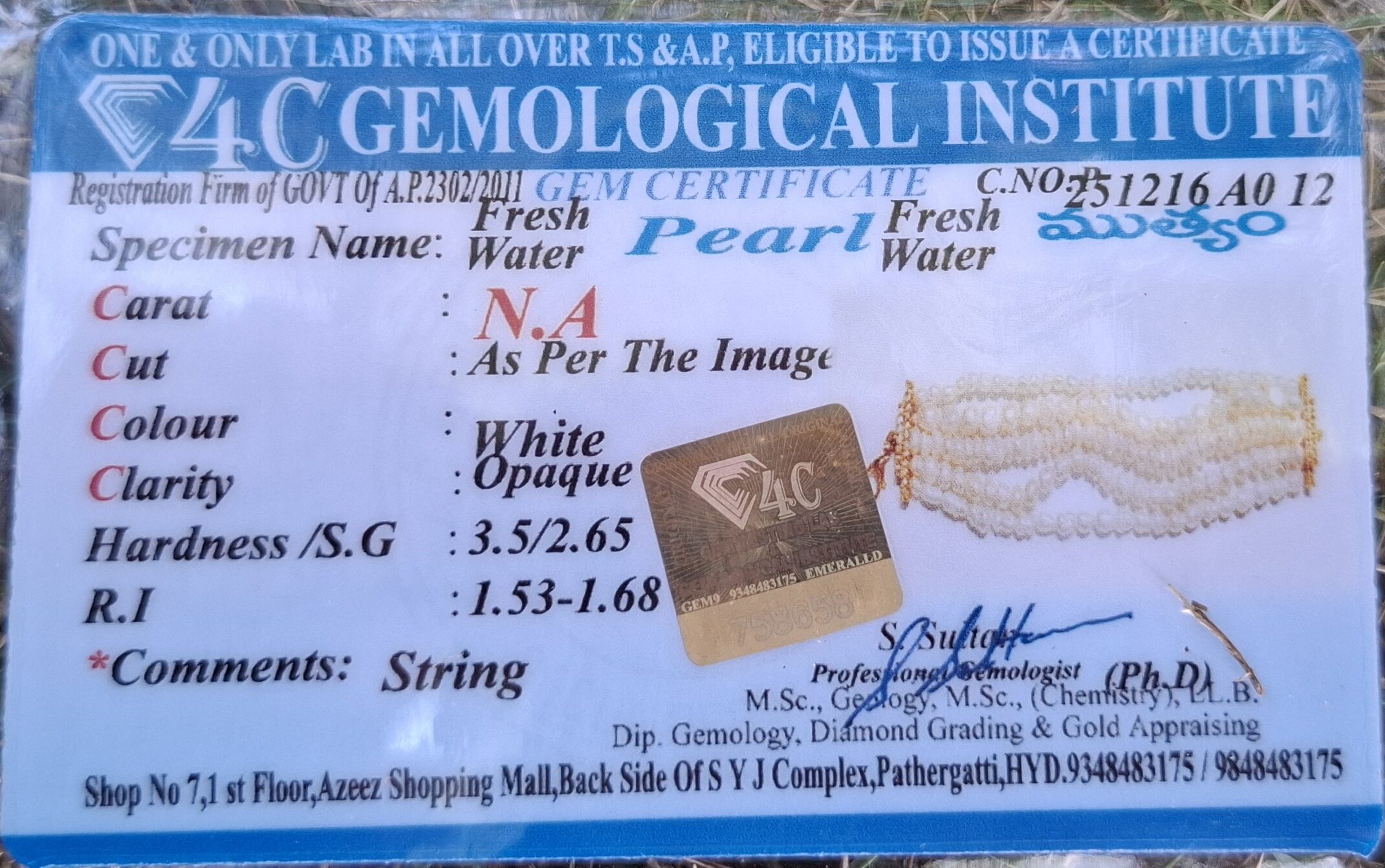 Alina White Real Pearl Multi Layer Bracelet - Image 2